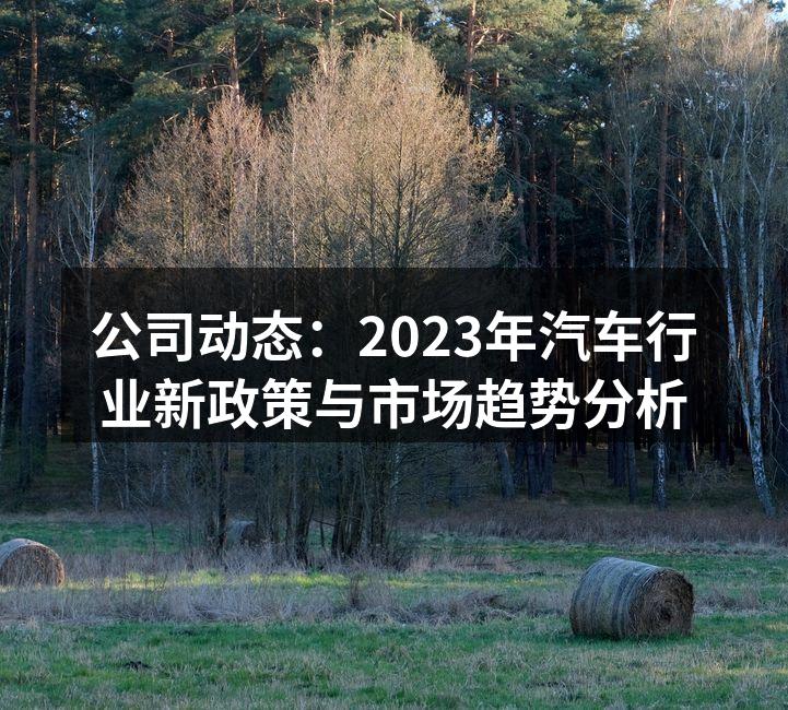 2023年汽车行业新政策发布会现场