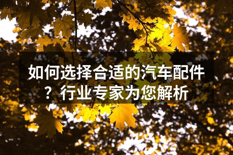 汽车配件的多样选择