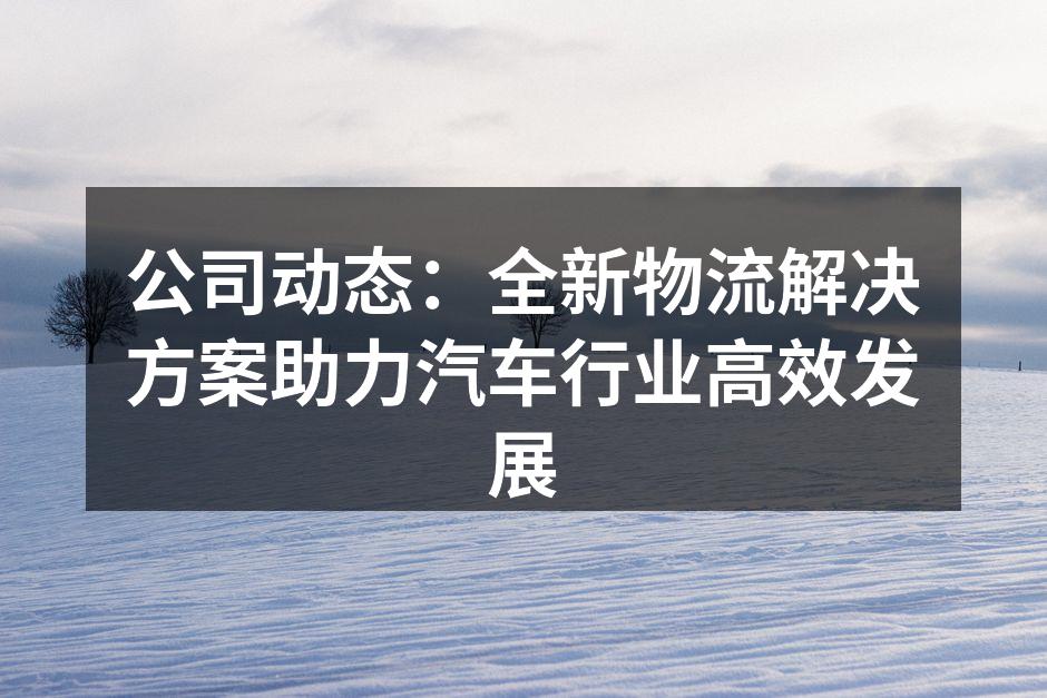 新物流方案助力汽车行业发展