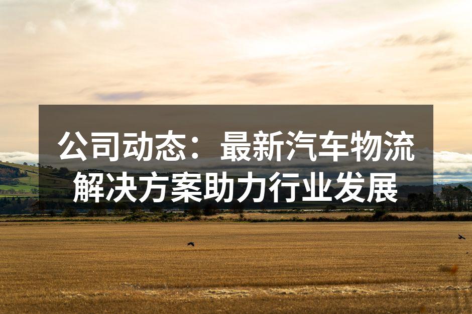 新型物流解决方案展示